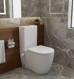 كومبنيشن مرحاض فيجا سانيبيور